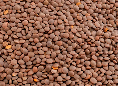 Quality & Safety policy